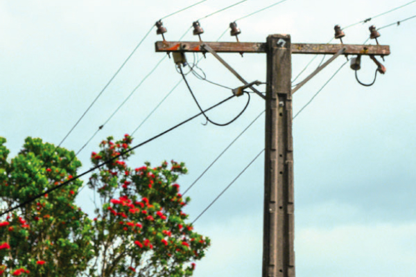 TreesPowerLines1-CB-600x400 TreesPowerLines1-CB-600x400