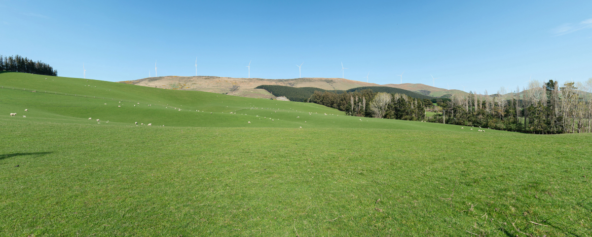 Kaihiku Wind Farm proposed project site