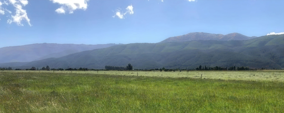 Open farmland with mountains in the distance, the proposed site for Argyle Solar Farm