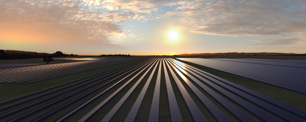 Sunset over rows of solar panels stretching toward the horizon at Stratford Solar Farm