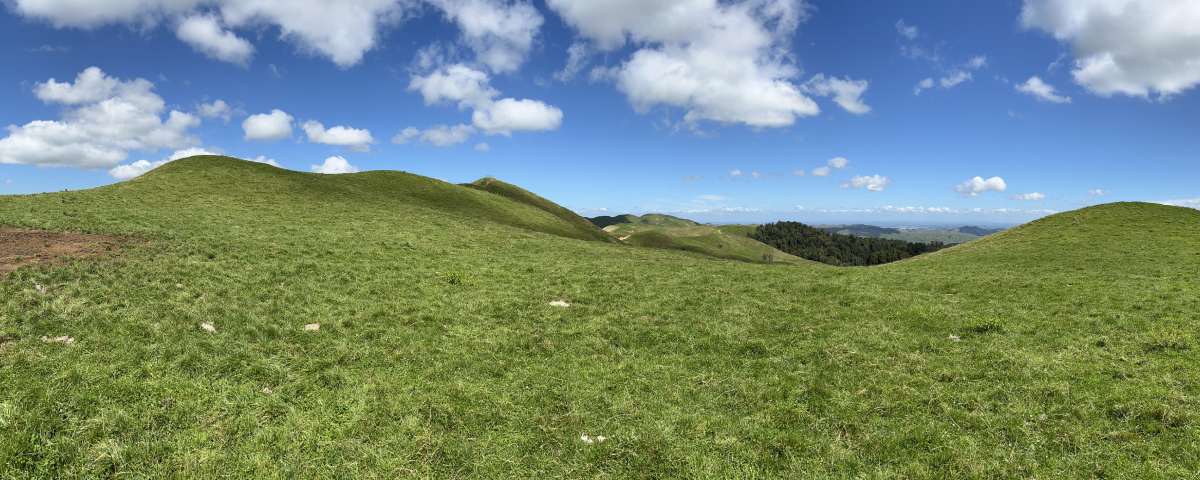 Hapuakohe Wind Farm proposed project site