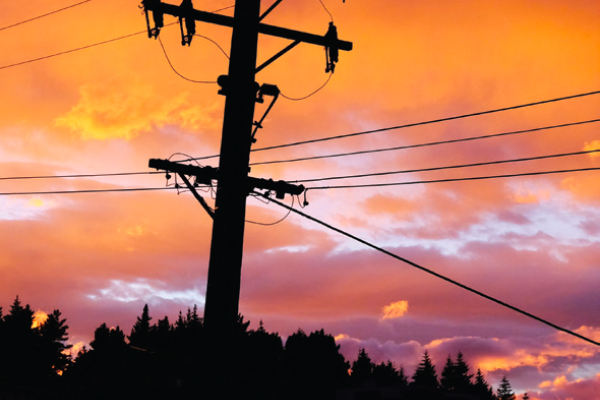 TreesPowerLines2-CB-600x400 TreesPowerLines2-CB-600x400