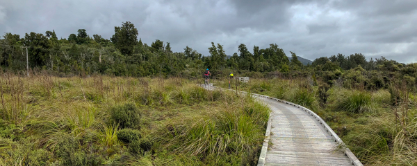 Cyclist riding along a wooden boardwalk on the West Coast Wilderness Trail, winding through tussock grassland under a cloudy sky