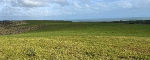 Green pastoral farmland with coastal views at Ototoka wind farm site, South Taranaki, New Zealand